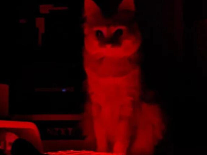 Demonkin